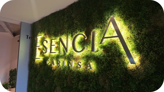 Corpóreos 3D y Neónled 1