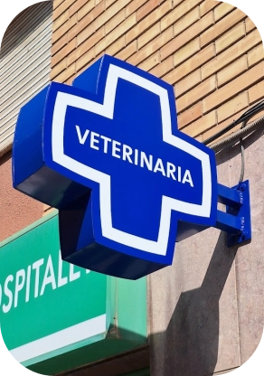 Rótulos Comerciales 6